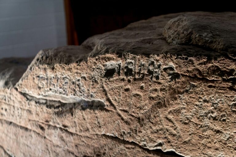 Ancient rock edict inscription closeup