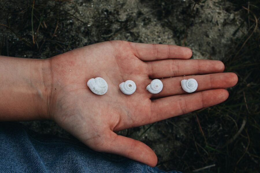 Daily life babylon what clay tablets reveal about