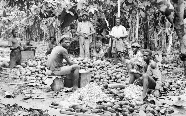 How the Haitian Revolution turned an enslaved colony into the first Black republic
