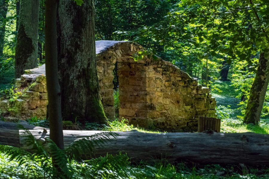 Seventeenth century battlefield ruins forest
