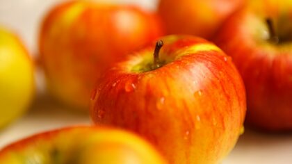How tomatoes went from “poisonous love apples” to a kitchen essential