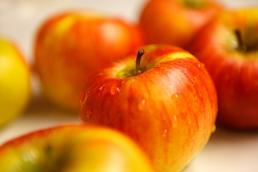 How tomatoes went poisonous love apples kitchen essential