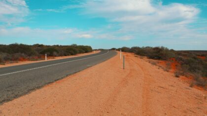 When Australia went to war with emus: what really happened in the Great Emu War
