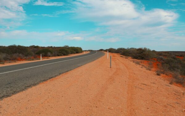 When Australia went to war with emus: what really happened in the Great Emu War