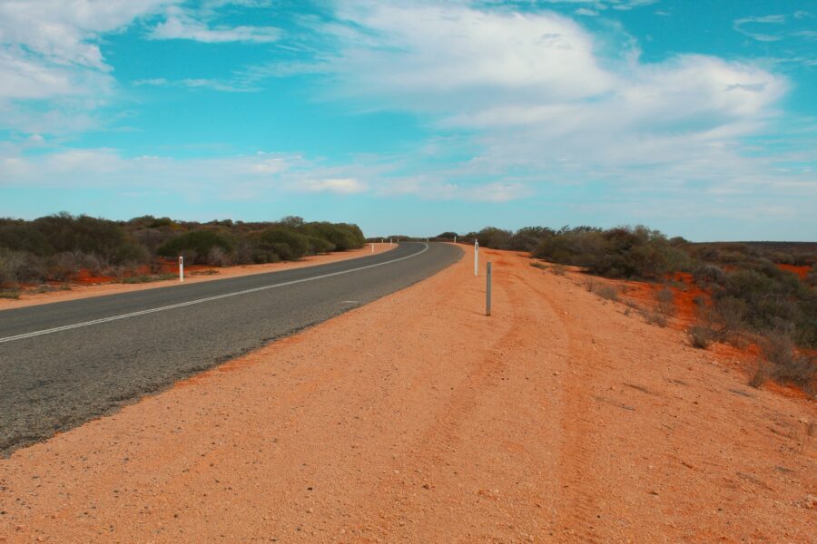 Australian outback field emus