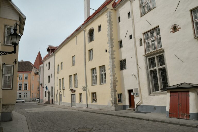 Village pig old european street