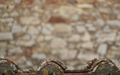 How ancient Etruscan houses reveal a lost urban lifestyle in early Italy