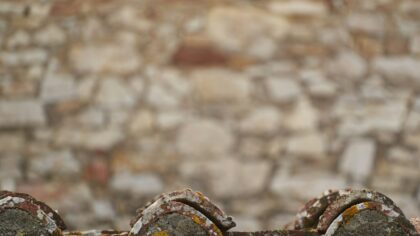 How ancient Etruscan houses reveal a lost urban lifestyle in early Italy