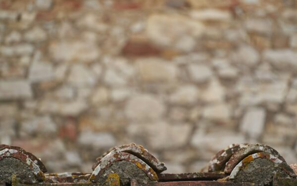How ancient Etruscan houses reveal a lost urban lifestyle in early Italy