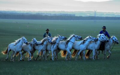 How Genghis Khan built an empire and what his brutal success can teach us about power and risk