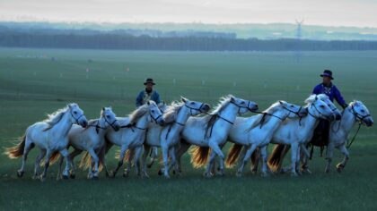 How Genghis Khan built an empire and what his brutal success can teach us about power and risk
