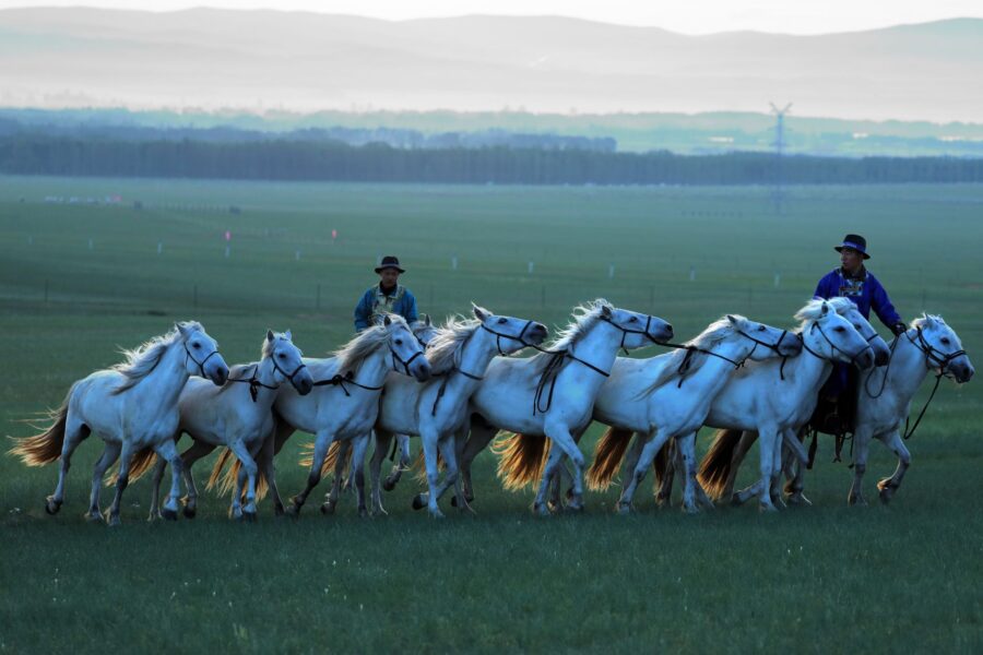 Mongol horsemen steppe