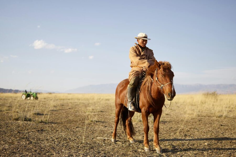 Mongolian steppe horseback rider distant mountains
