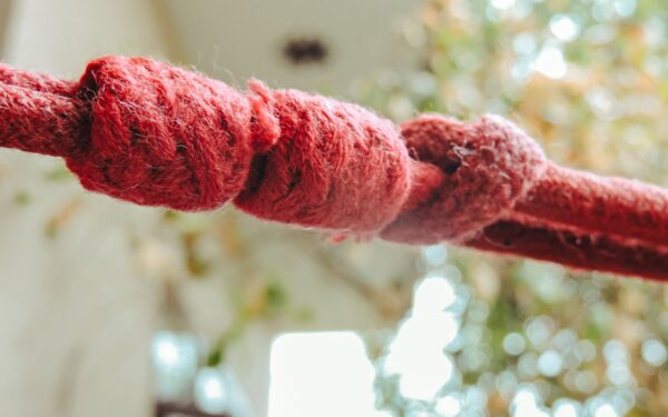How quipus worked: the knotted cords that kept an empire running
