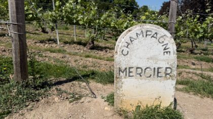 How the champagne riots of 1911 turned angry grape growers into a political force