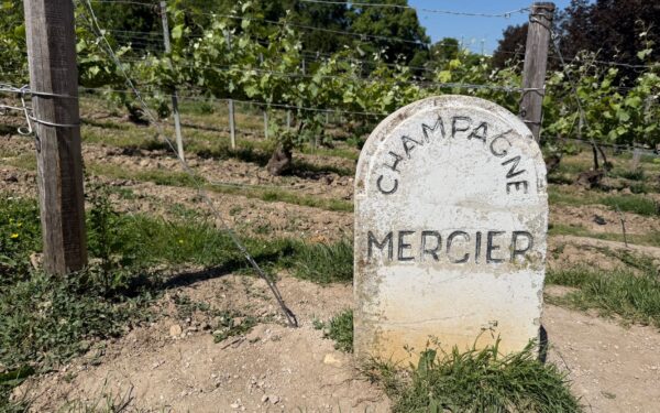 How the champagne riots of 1911 turned angry grape growers into a political force