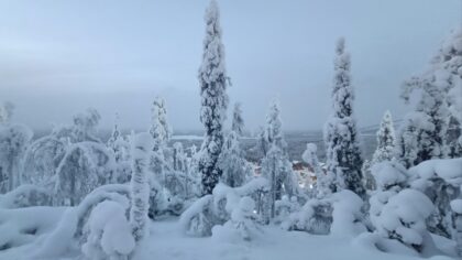 How the Finnish Winter War shows the power and limits of small-state resistance