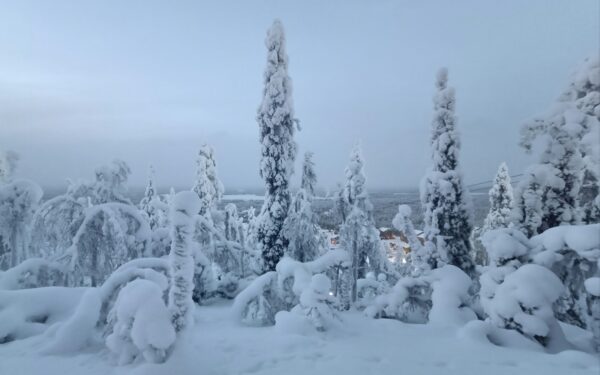 How the Finnish Winter War shows the power and limits of small-state resistance