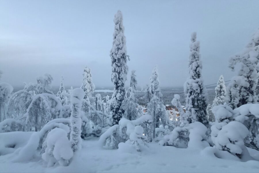 Finnish soldiers winter