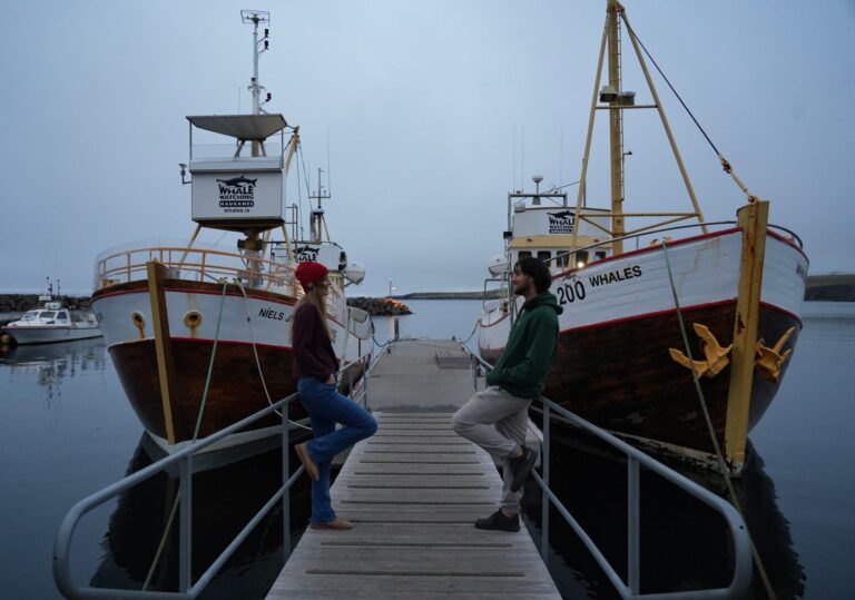 Iceland fishing village