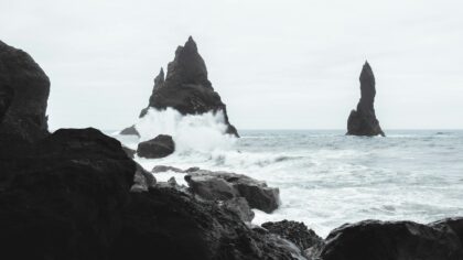 How the “law of the tongue” made shipwrecked sailors surrender their whales to Basque fishermen