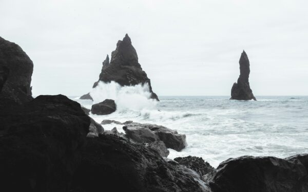 How the “law of the tongue” made shipwrecked sailors surrender their whales to Basque fishermen