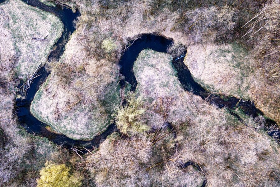 Historic beaver river