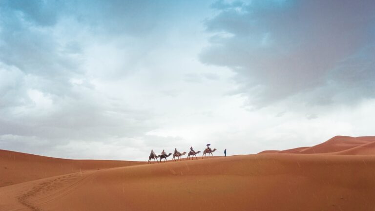 Desert caravan camels medieval travelers