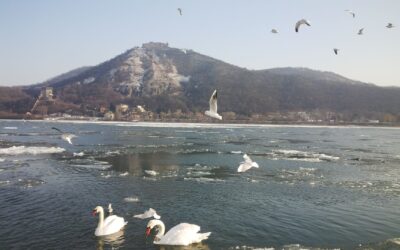 The forgotten ice bridge of 1929 and how a frozen river quietly linked two countries