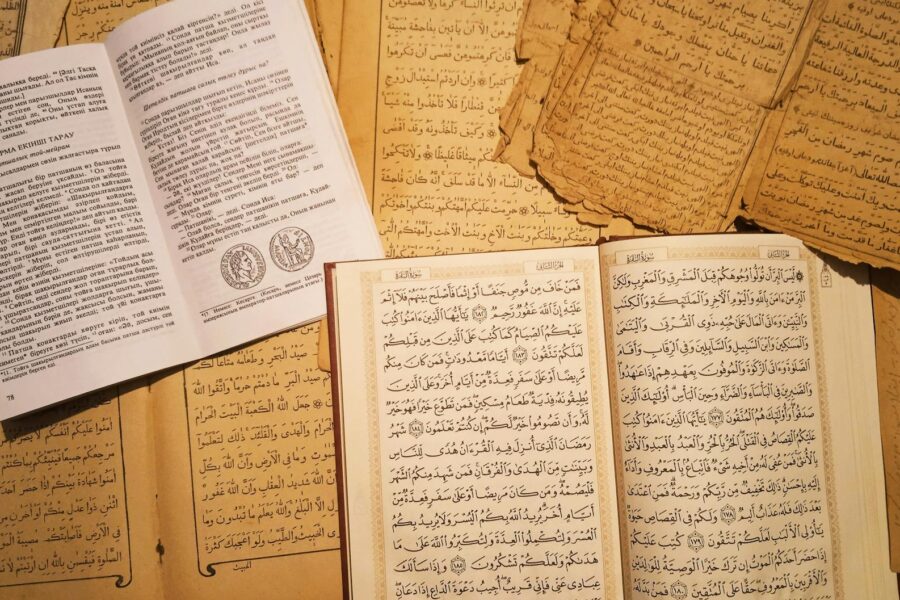 Ancient manuscripts shelves