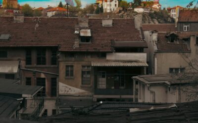 The rooftop pigeons of wartime Europe and how a forgotten network carried vital messages