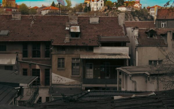 The rooftop pigeons of wartime Europe and how a forgotten network carried vital messages