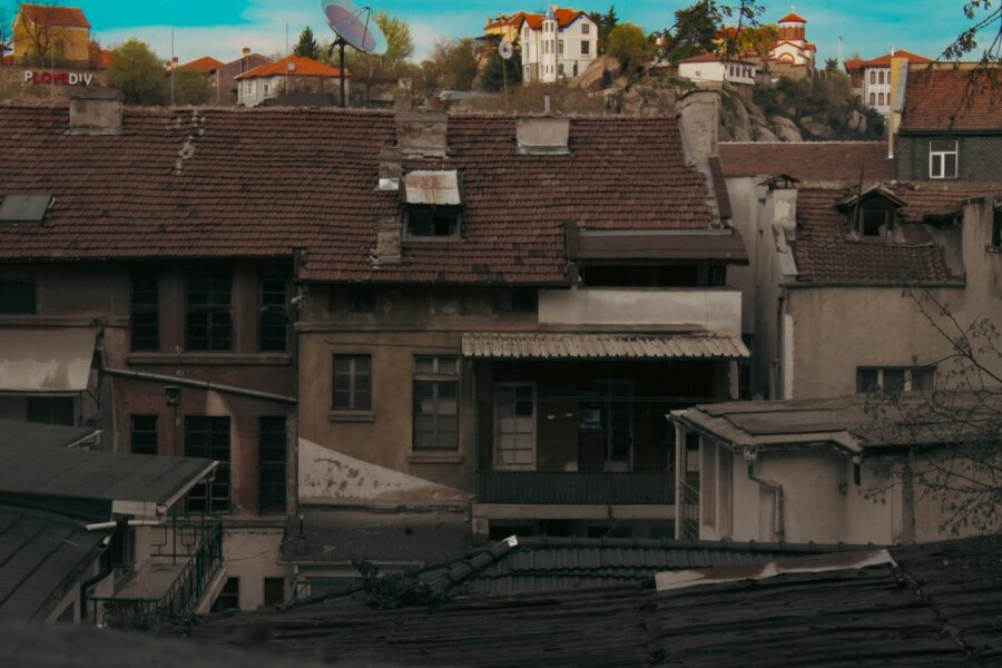 Old rooftop pigeon