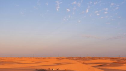 Why ancient desert caravans were the high-speed internet of the Old World