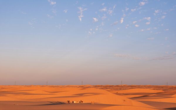 Why ancient desert caravans were the high-speed internet of the Old World