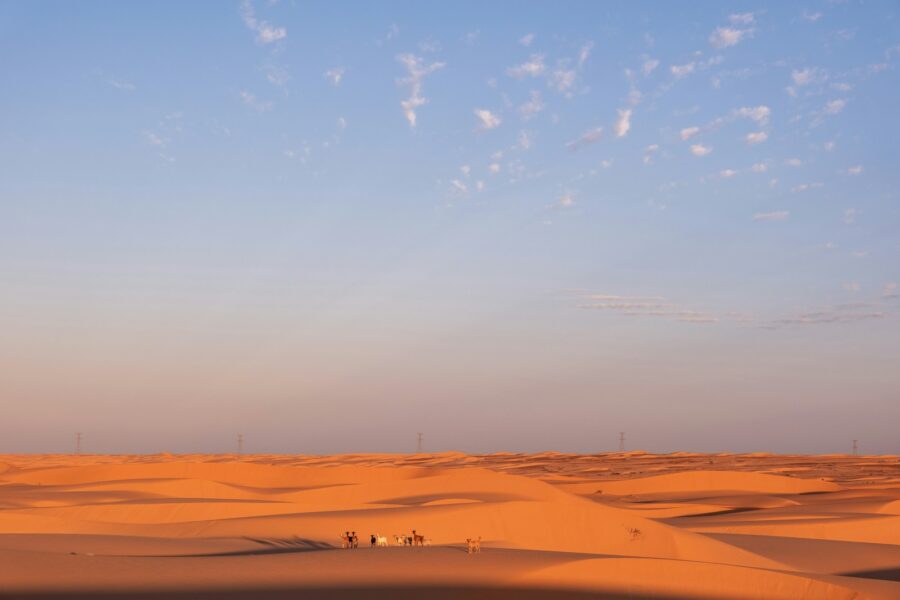Camel caravan desert