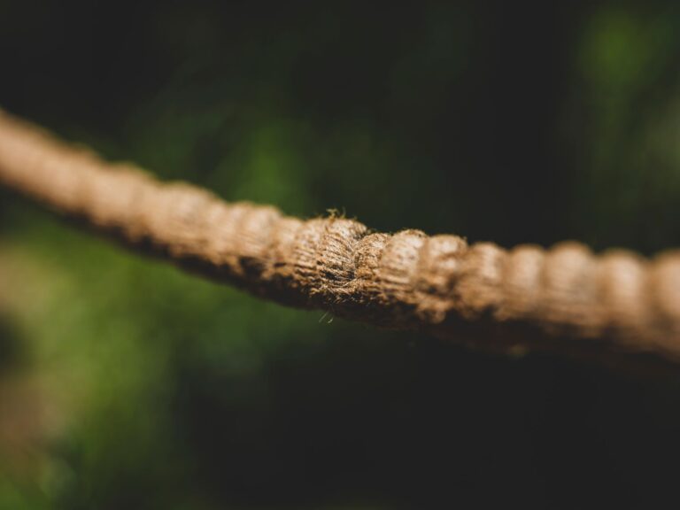 Inca quipu knotted