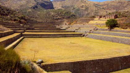 How Inca terrace farming shaped mountain landscapes and everyday life