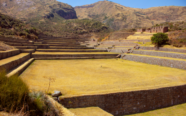 How Inca terrace farming shaped mountain landscapes and everyday life