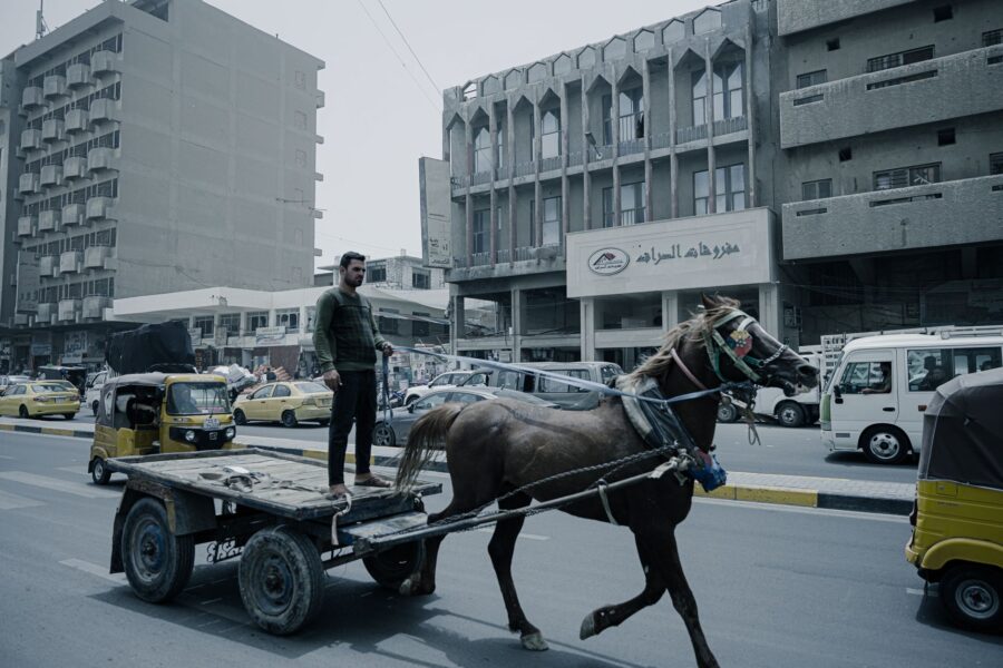 Horse drawn cart