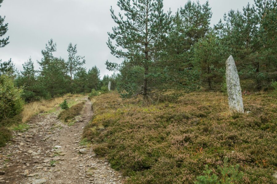 Stone footpath moorland