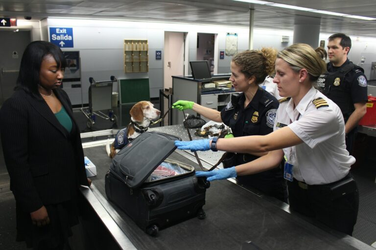 Old customs border