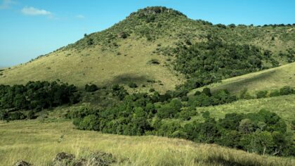How the Mau Mau uprising in Kenya transformed empire, land and political loyalty