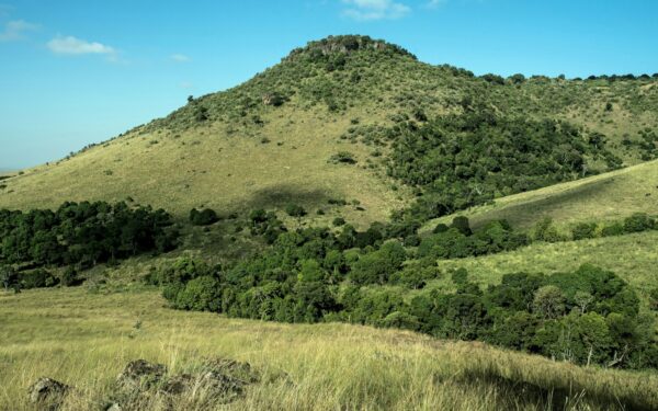 How the Mau Mau uprising in Kenya transformed empire, land and political loyalty