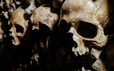How the Paris catacombs became an underground city of bones