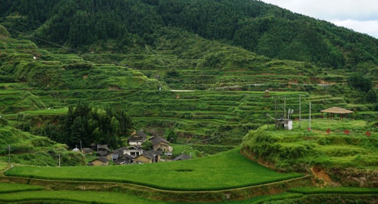 Chinese peasant village