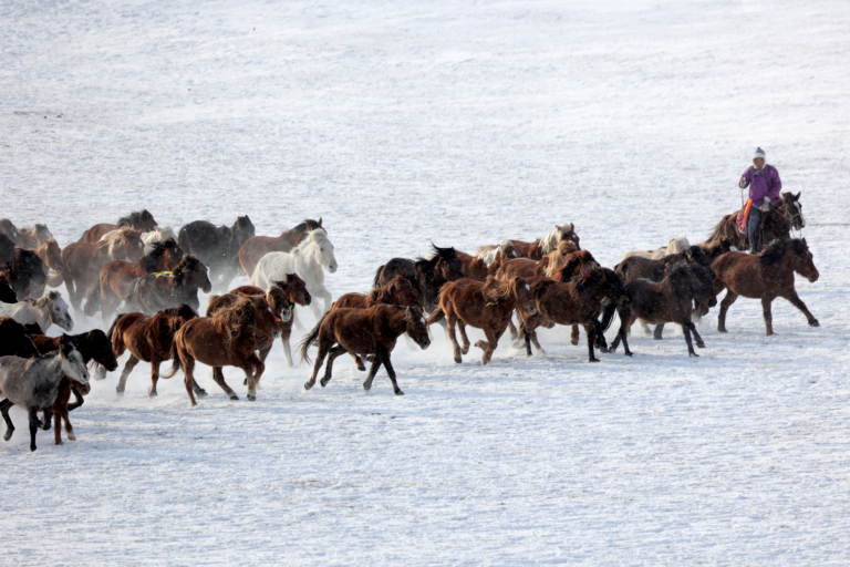 Snowy steppe camp