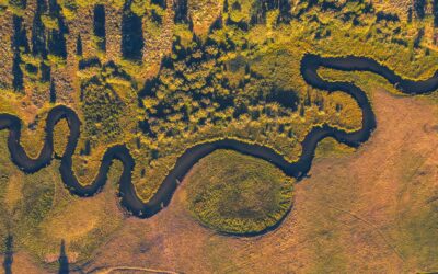 How traveler Ibn Fadlan’s journey to the Volga shows a connected medieval world