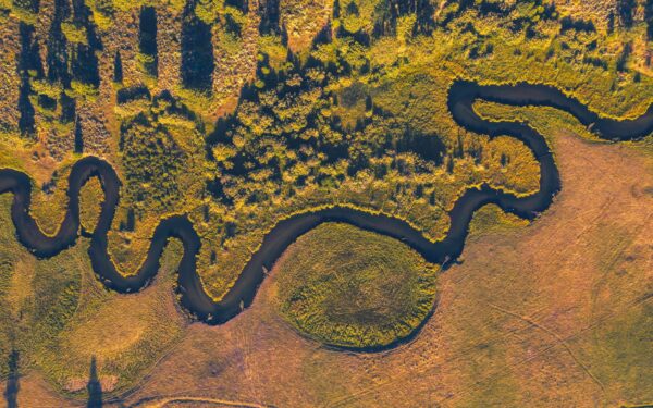 How traveler Ibn Fadlan’s journey to the Volga shows a connected medieval world