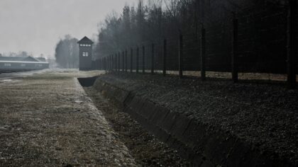 How trench warfare trapped armies and societies in a deadly stalemate